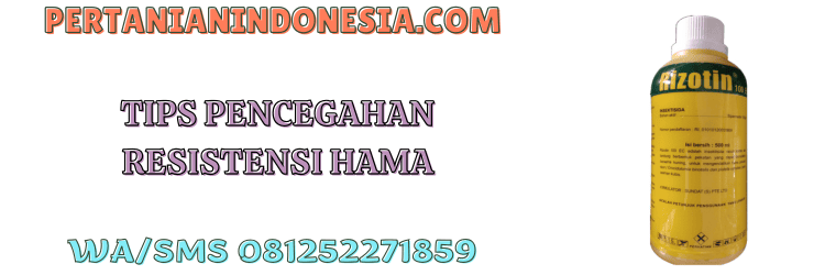 tips,pencegahan,serangan,hama,serangga,pertanian indonesia
